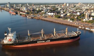 Ingresan dos buques al puerto de Concepción del Uruguay para exportar madera a India