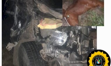 Siniestro Vial en la Ex Ruta 18: Camioneta Chocó con un Caballo