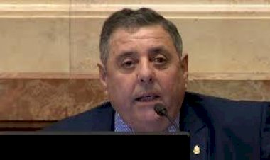 Ley de ATN:  Veto 59 a 9 y el senador por Entre Rios Alfredo Luis De Angeli (del PRO) decidió abstenerse.