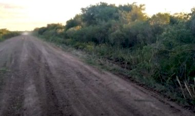 Restos hallados: la fiscal Montangie contó por qué podría tratarse de las partes del cuerpo de Palacio que buscaban