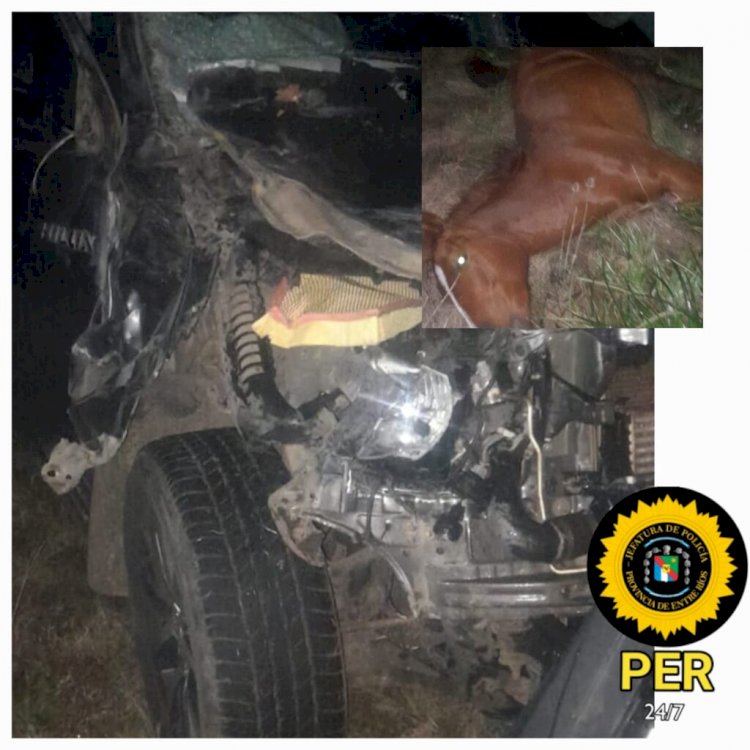 Siniestro Vial en la Ex Ruta 18: Camioneta Chocó con un Caballo
