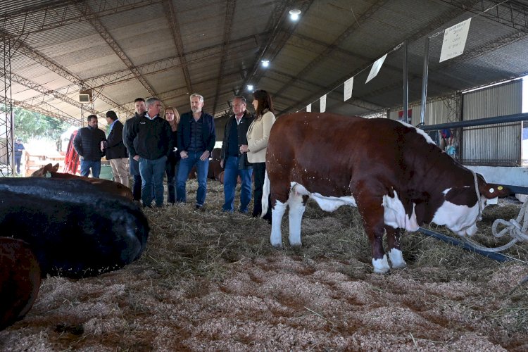 Frigerio anunció créditos para productores y mejoras viales en la 80° Exposición Rural de Feliciano
