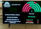 Hubo más de 16 horas de sesión y finalmente el Senado dio media sanción a la reforma laboral