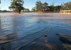 Fenómeno “El Niño”: “Va a ser muy intenso”, dijo funcionario provincial y habló sobre las medidas preventivas