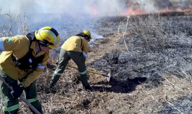 Prohíben las quemas en Entre Ríos por el alto riesgo de incendios
