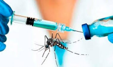 En Concordia se amplía el rango etario en el plan focalizado de vacunación contra el dengue