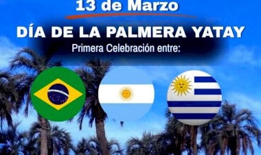 “Parte de nuestra identidad”: 3 países celebran por primera vez el día de la Palmera Yatay