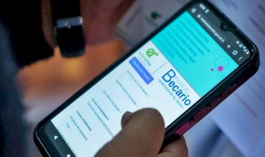 Anunciaron el cronograma de pagos de becas provinciales