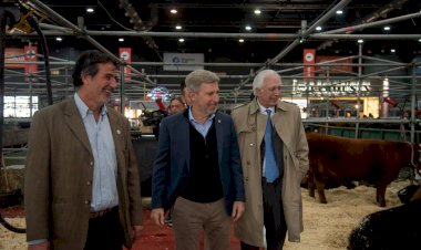 Frigerio lanzó un seguro multirriesgo para proteger la producción de maíz