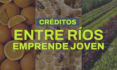 Abrió la convocatoria del programa Entre Ríos Emprende Joven