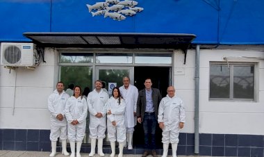 Decomisaron 200 kilos de pescados y mariscos por riesgo sanitario en el norte de Entre Ríos