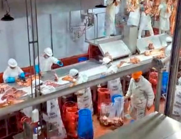 En Colón ponen en marcha una planta de procesamiento de carne vacuna con capacidad para producir 200 medias reses diarias