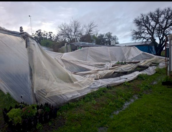 Fuerte temporal causó daños materiales en la Escuela Agrotécnica N° 155 “José Hernández” de Colonia La Perla
