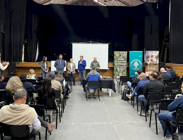 Entre Ríos fortalece la articulación para el control del picudo rojo de las palmeras