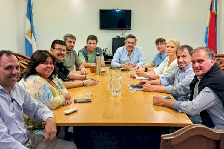 “Profunda preocupación” por Vialidad Nacional: senadores del PJ denuncian desfinanciamiento y persecución al sindicalismo
