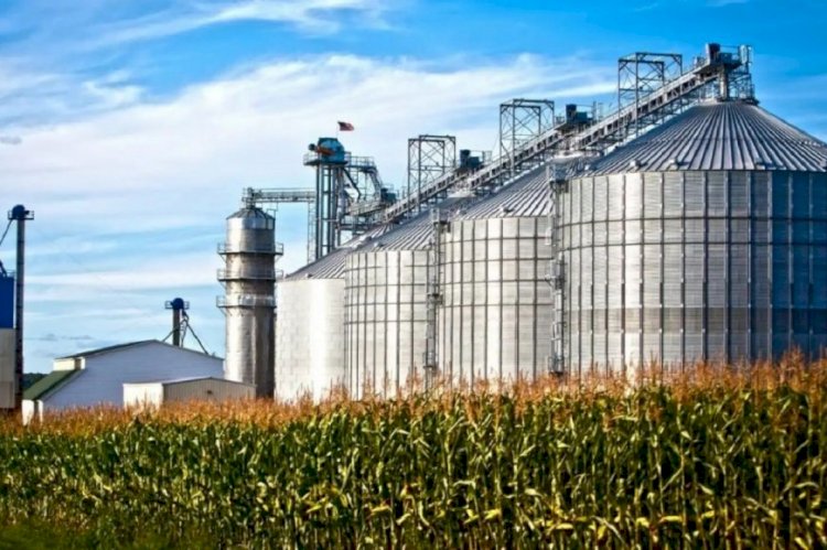 Entre Ríos y otras ocho provincias impulsan junto a la Unión Industrial una nueva ley para reactivar el sector de los biocombustibles
