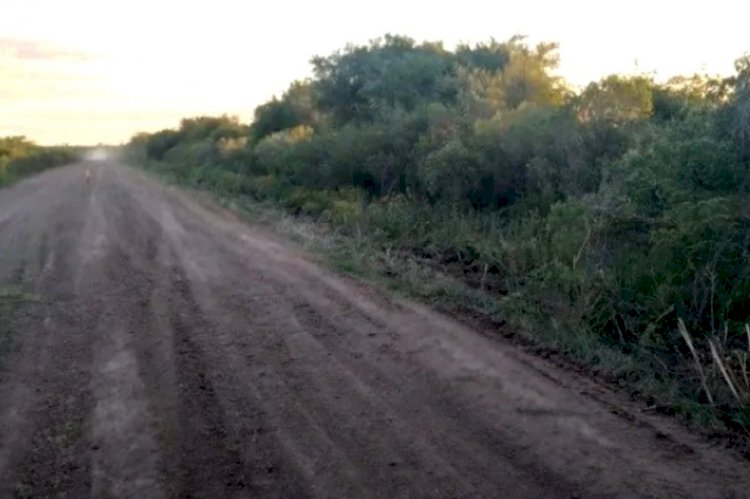 Restos hallados: la fiscal Montangie contó por qué podría tratarse de las partes del cuerpo de Palacio que buscaban