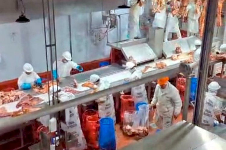 En Colón ponen en marcha una planta de procesamiento de carne vacuna con capacidad para producir 200 medias reses diarias