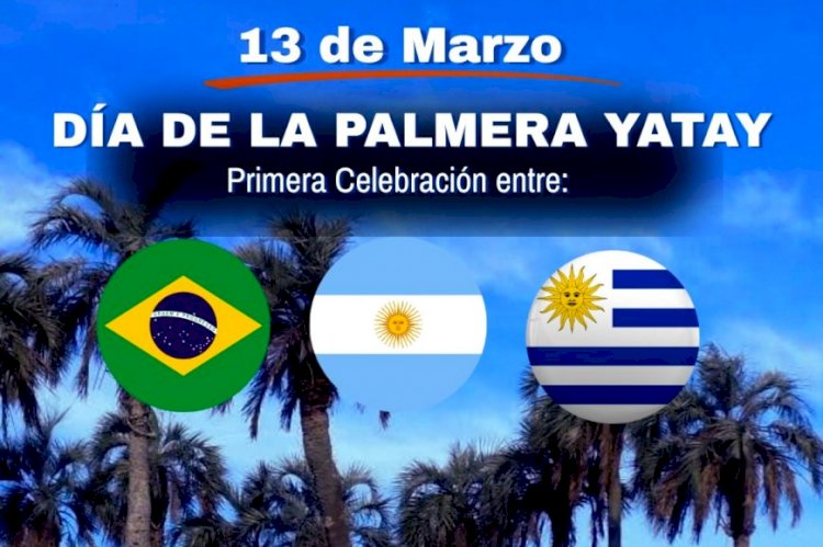 “Parte de nuestra identidad”: 3 países celebran por primera vez el día de la Palmera Yatay