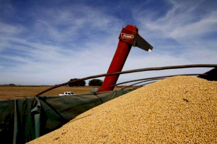 El agro entrerriano exige garantías para el libre transporte de granos y la desregulación de tarifas