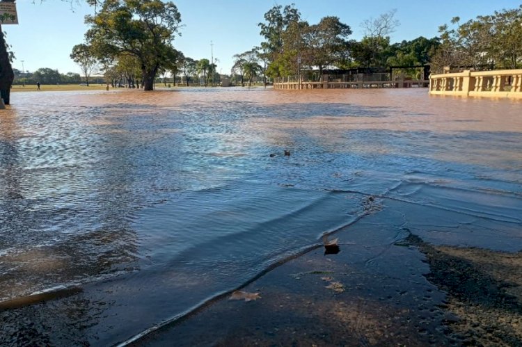 Fenómeno “El Niño”: “Va a ser muy intenso”, dijo funcionario provincial y habló sobre las medidas preventivas